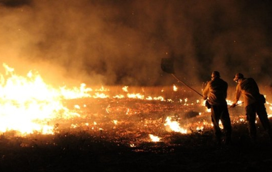 Queimadas no Tocantins