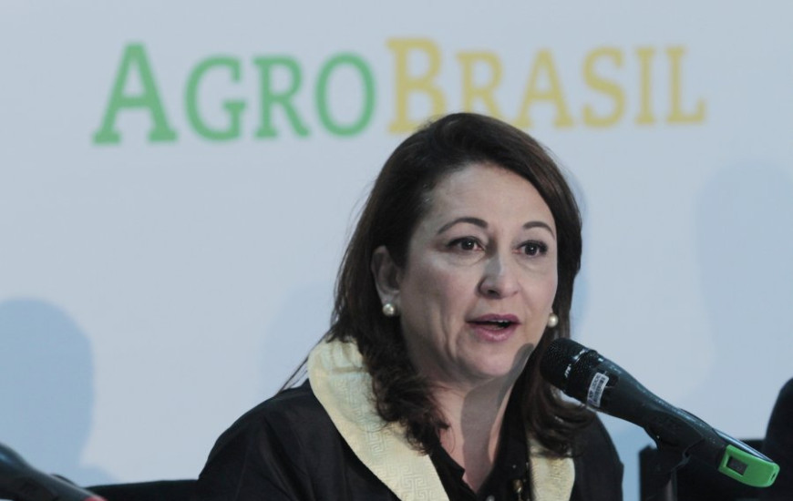 Senadora Kátia Abreu