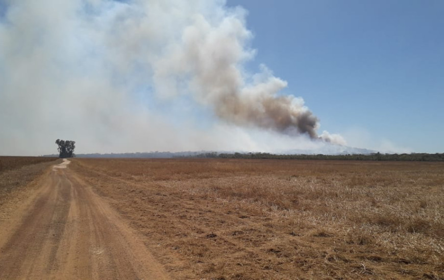 Área de fazenda queimada nesta quarta, dia 07.