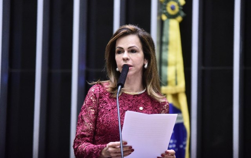 Deputada federal Professora Dorinha