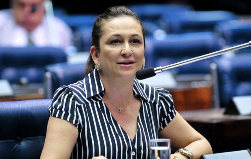 Senadora propôs acordo