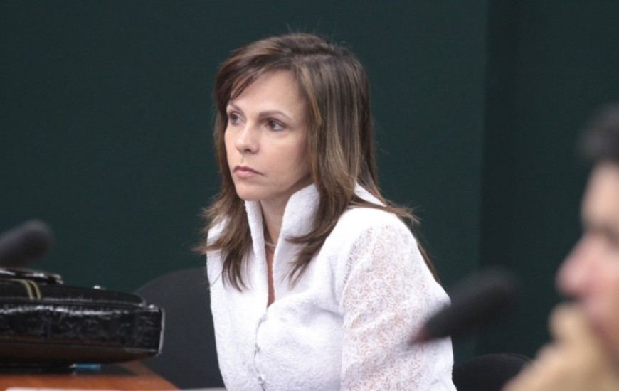 Deputada Dorinha Seabra (Democratas)