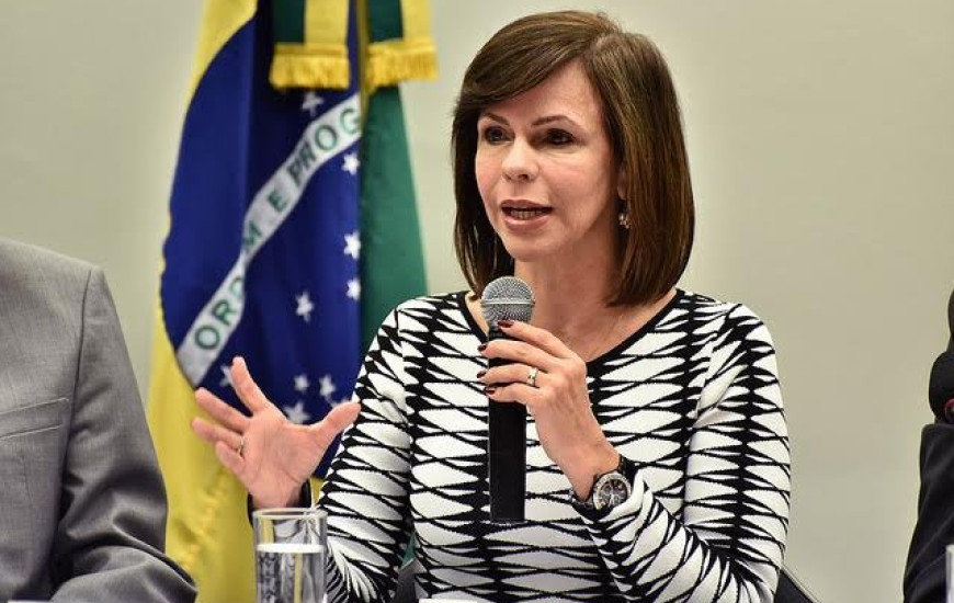 Dorinha destaca importância da Base Curricular