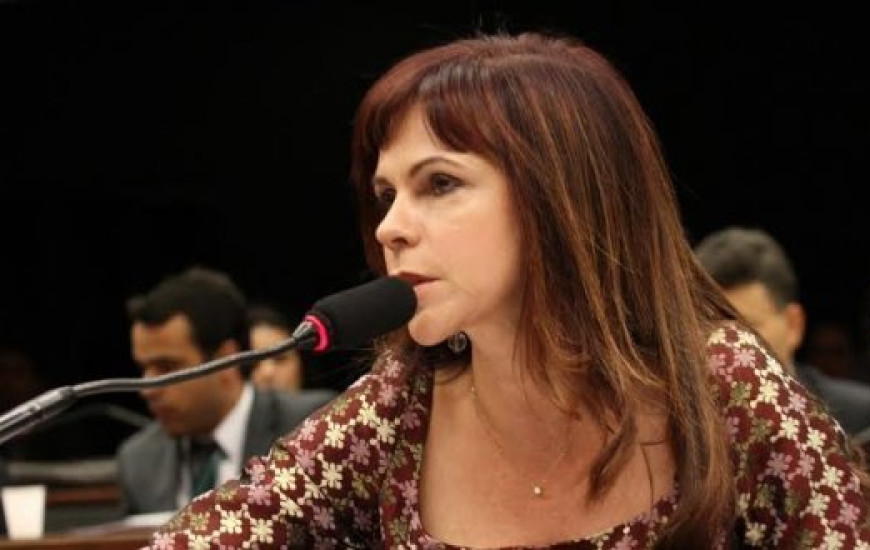 Professora Dorinha na Câmara Federal