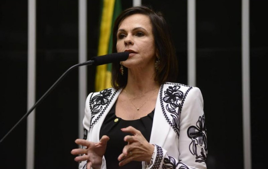 Deputada Professora Dorinha