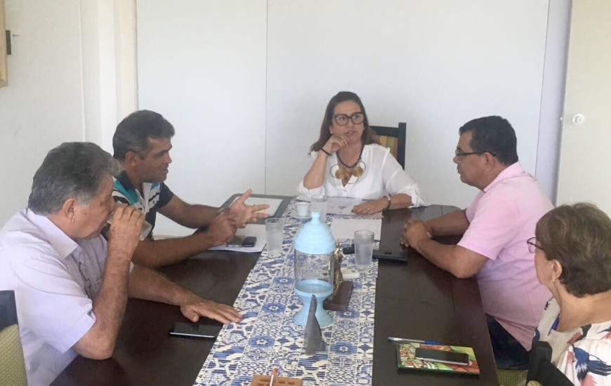 As reuniões fazem parte da estratégia da pré-campanha da senadora