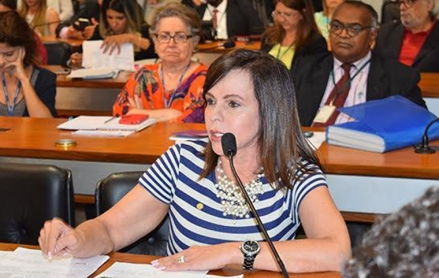 Dorinha pede acompanhamento a debate sobre MP