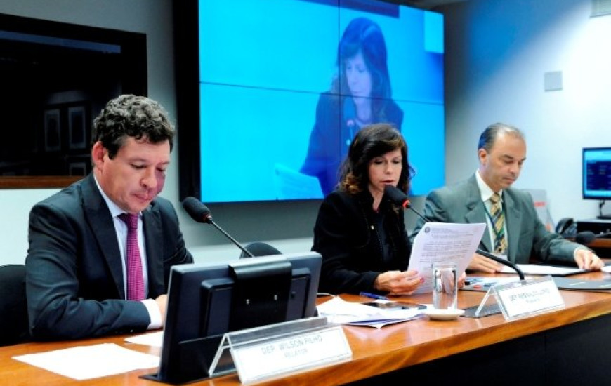 Para Dorinha, relatório não avança