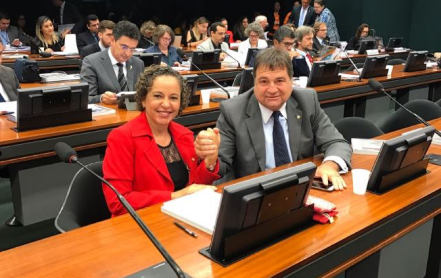 Proposta foi relatada por Josi Nunes e tem autoria de Halum