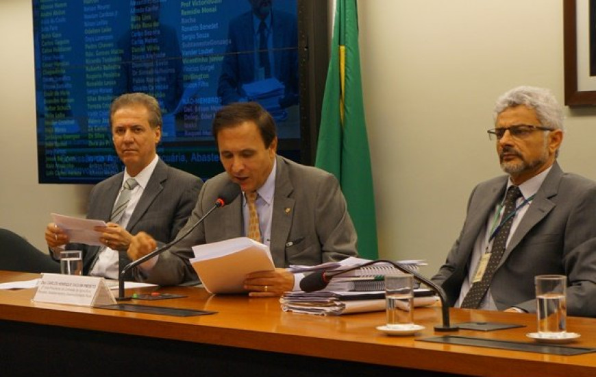 Gaguim preside comissão na Câmara