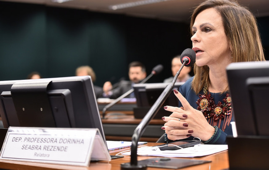 Deputada foi designada para acompanhar a comissão