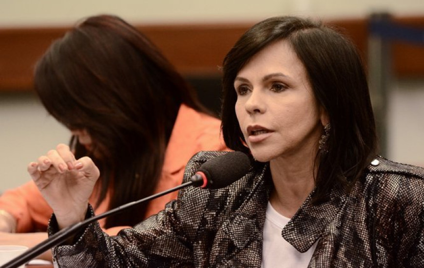 Câmara aprova substitutivo de Dorinha