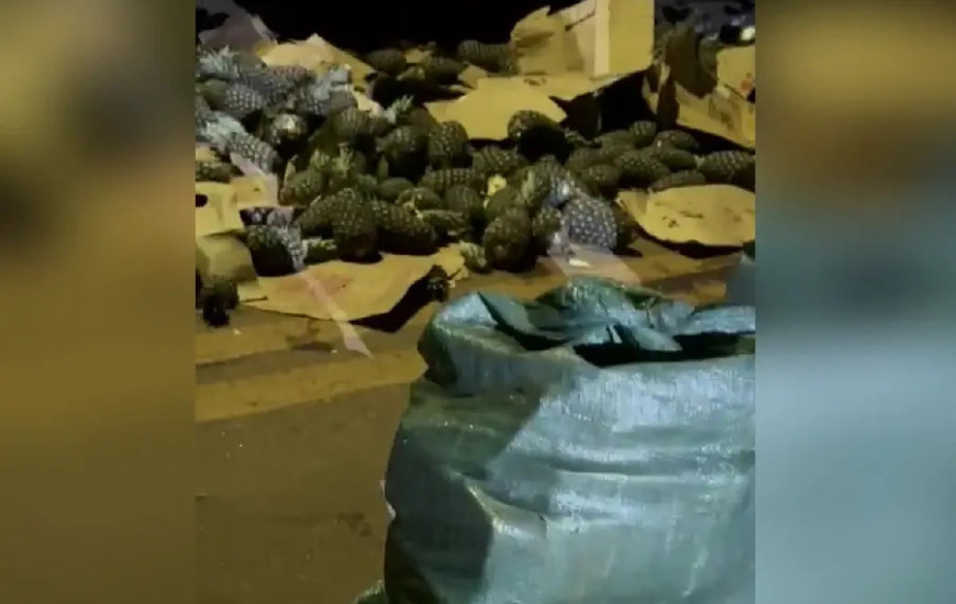 Abacaxi será doado para a merenda escolar