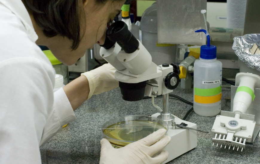 Evento acontece nesta quarta-feira, no auditório do Palácio Araguaia, às 8h