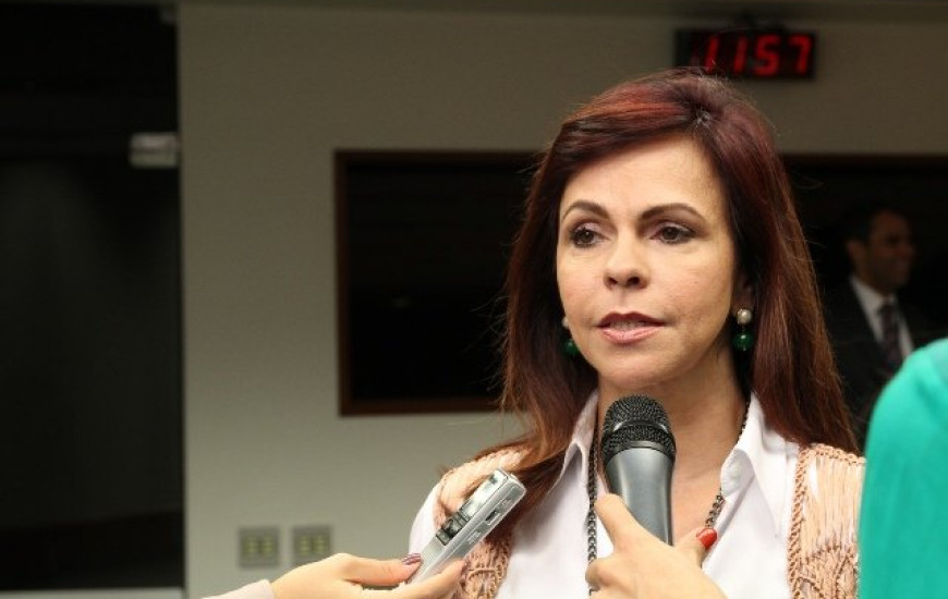 Deputada Dorinha Seabra