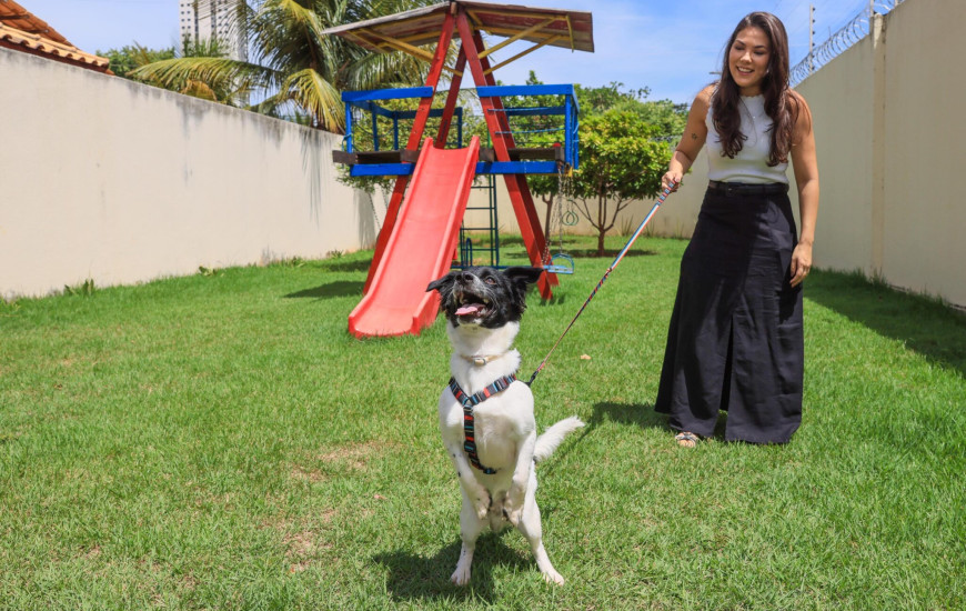  Ana Carolina Gratão adotou Lucky