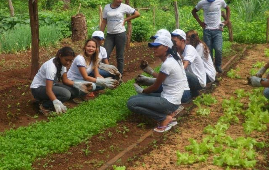 Programa é destinado a agricultores e famílias