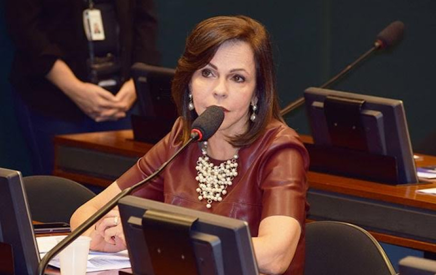 Deputada Professora Dorinha