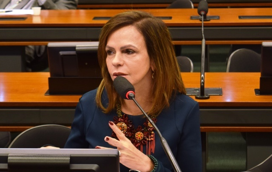 Parecer da deputada foi favorável à PL