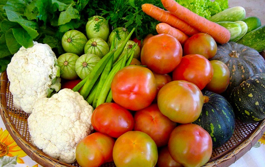 Plano irá incorporar estratégias territoriais e intersetoriais