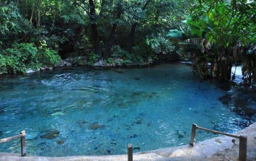 Nascente na cidade de Aurora do Tocantins