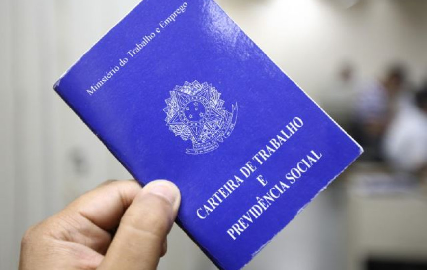 Banco de emprego de Palmas oferta vagas
