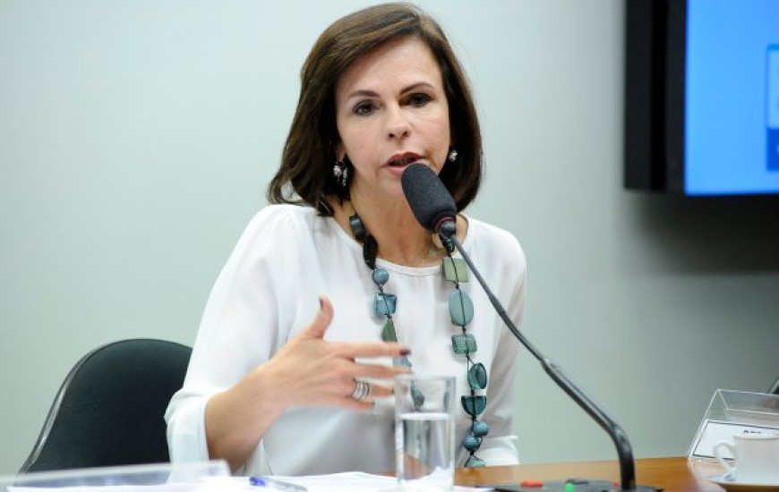 Deputada federal Professora Dorinha (DEM/TO).