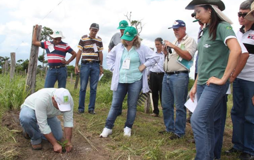 Faet/Senar promove cursos na Agrotins 2015