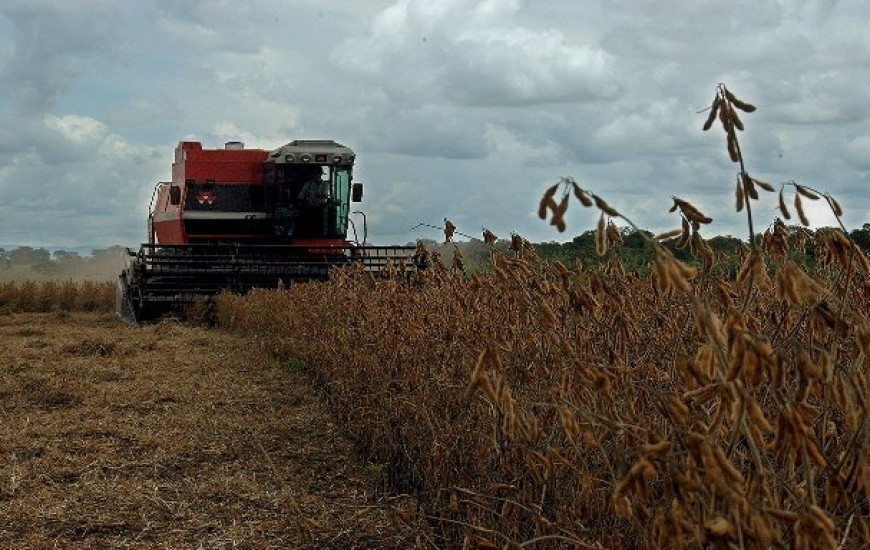 TO registra crescimento na safra