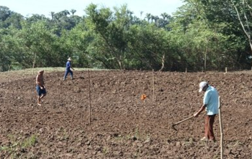 16 mil propriedades rurais foram cadastradas no TO