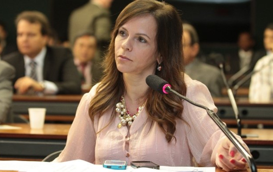 Deputada Dorinha Seabra (DEM)