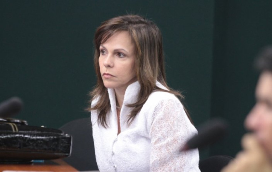 Deputada Dorinha Seabra (Democratas)