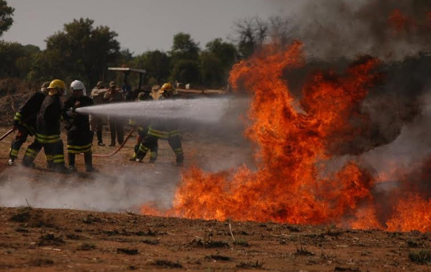 Focos foram registrados em junho e julho