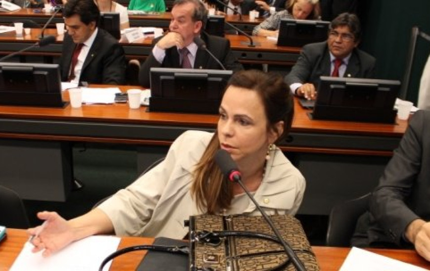 Deputada Dorinha (Democratas)