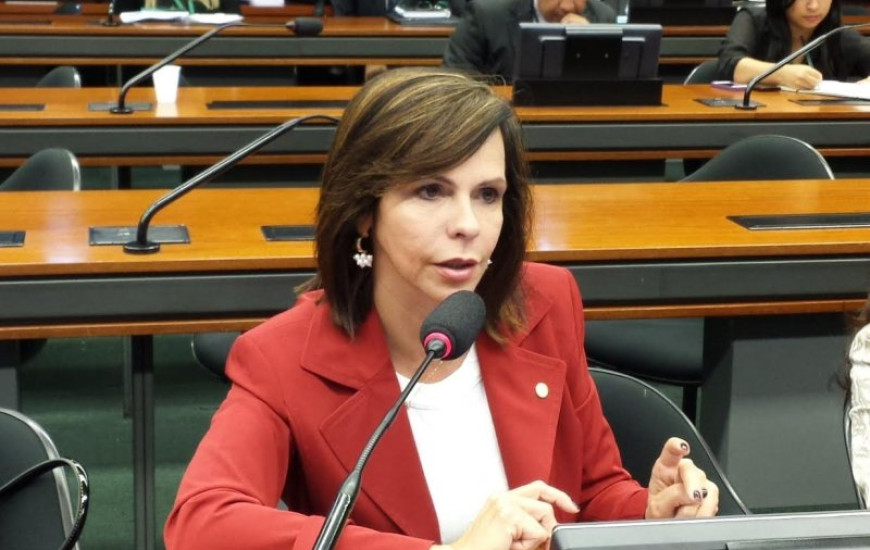 Deputada Profª Dorinha