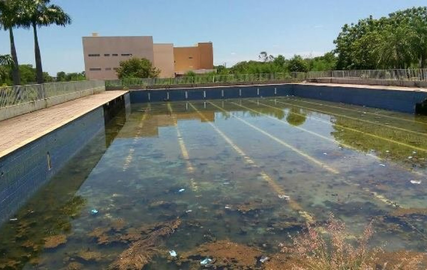 Piscina Olímpica tem criadouro de Aedes Aegypti