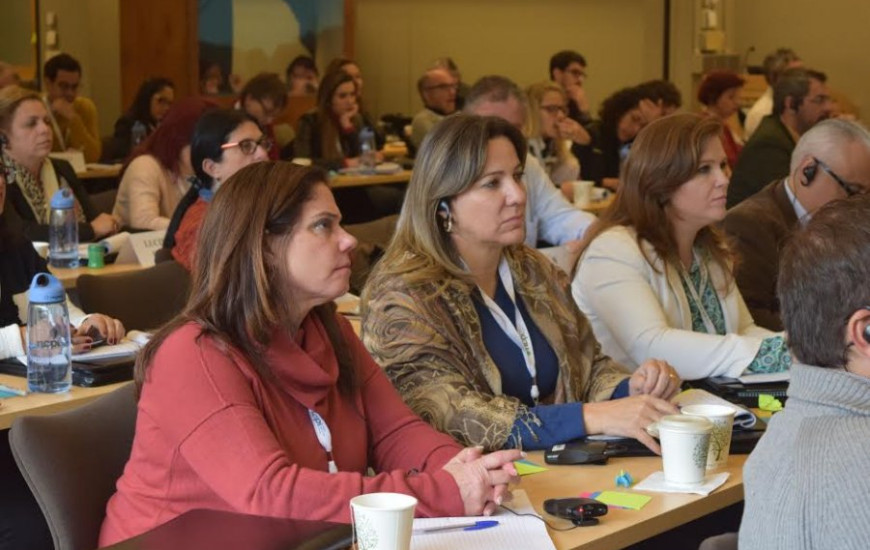 Deputada Federal Dulce Miranda