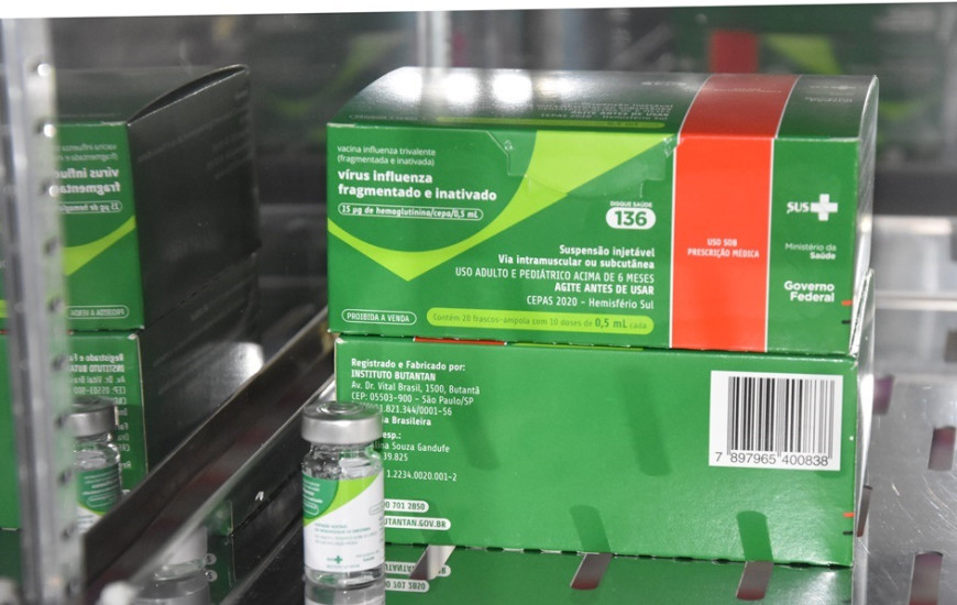 A melhor maneira de se prevenir é com a vacinação anual