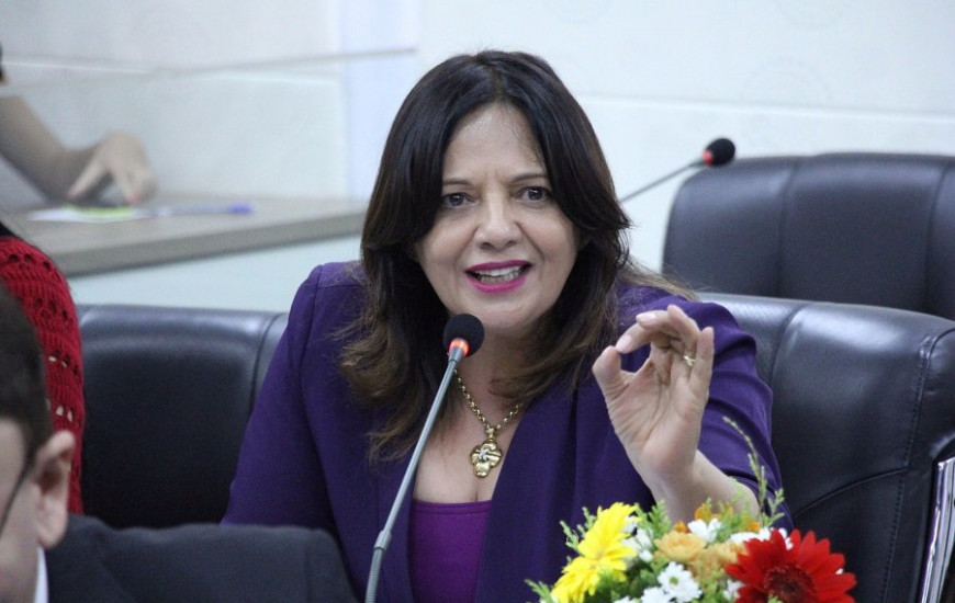 Valderez assume liderança do governo na Casa