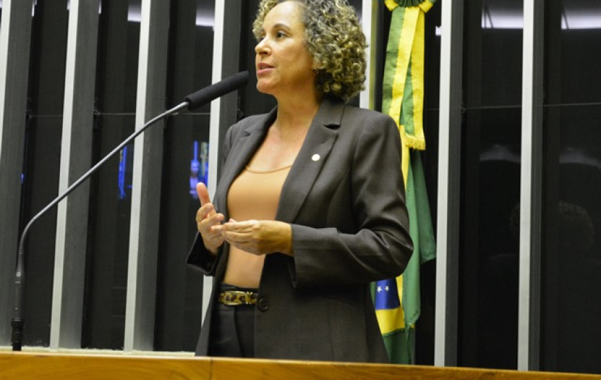Deputada fala sobre agenda cumprida durante recesso parlamentar