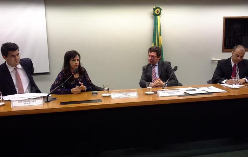 Dorinha integra comissão