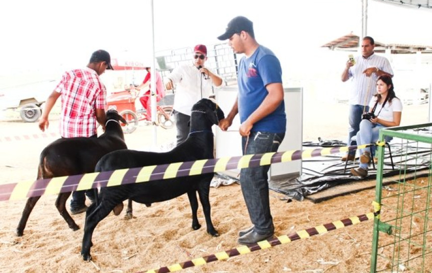 Agrotins termina neste sábado