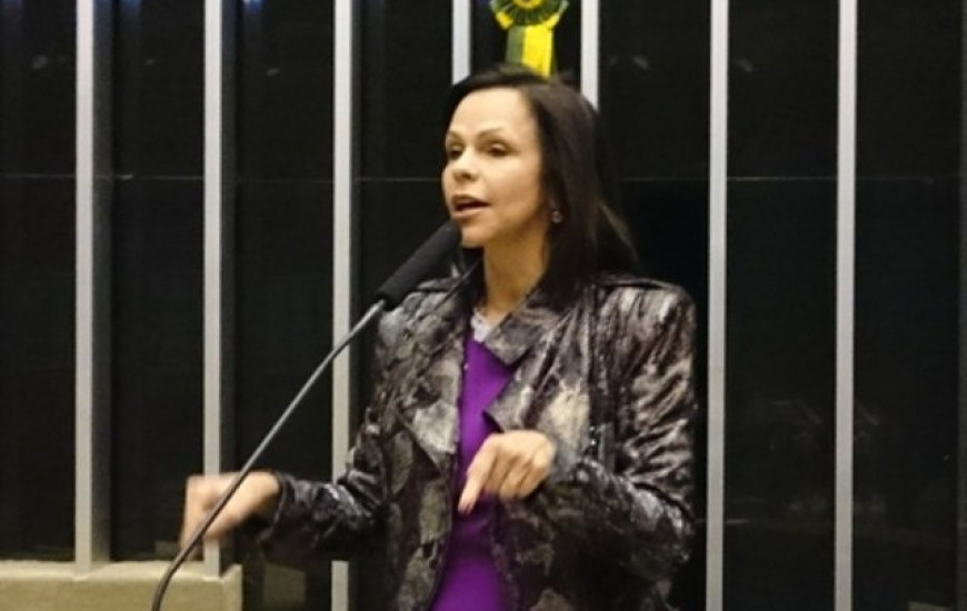 Dorinha lamenta veto da presidente Dilma