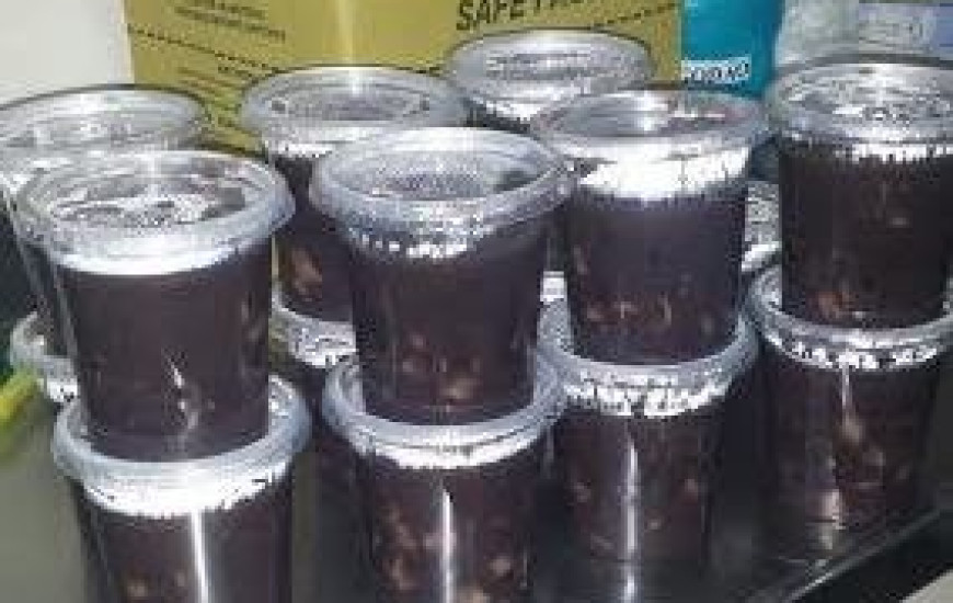 Almoço desta 4ª no HGP é feijão preto