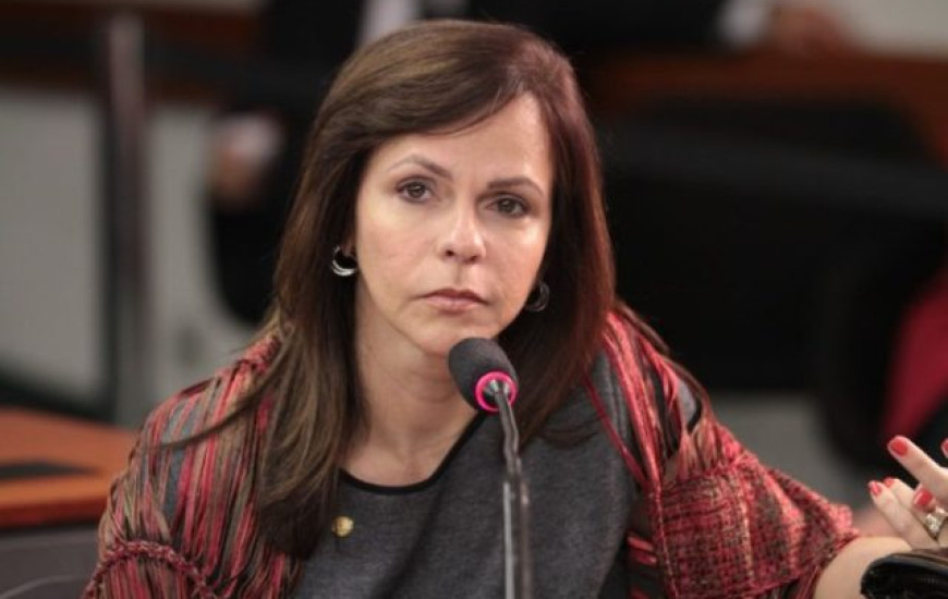 Dorinha assume comando de bancada do TO