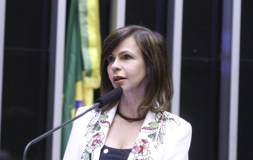 Deputada Professora Dorinha 