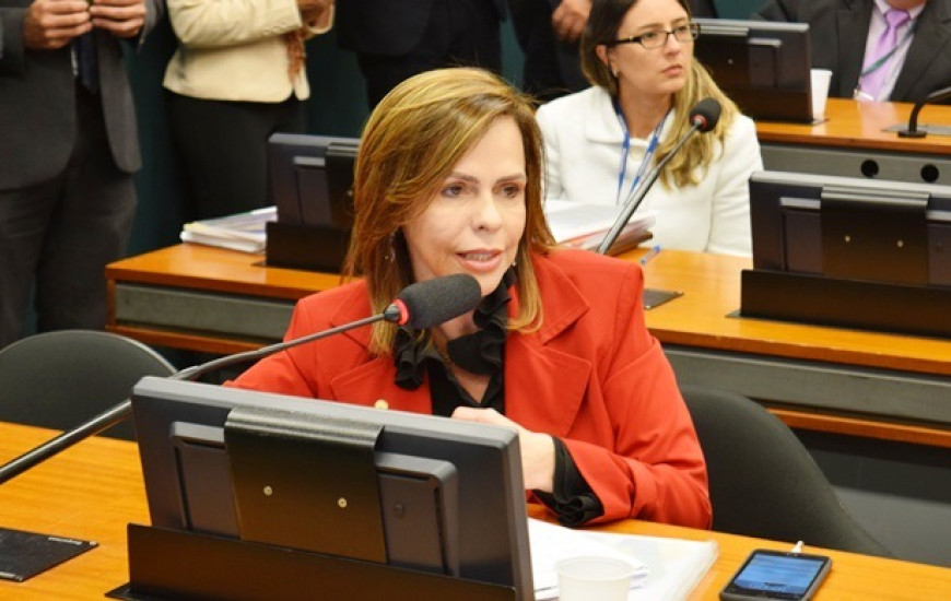 Foram aprovadas três emendas da deputada à LDO