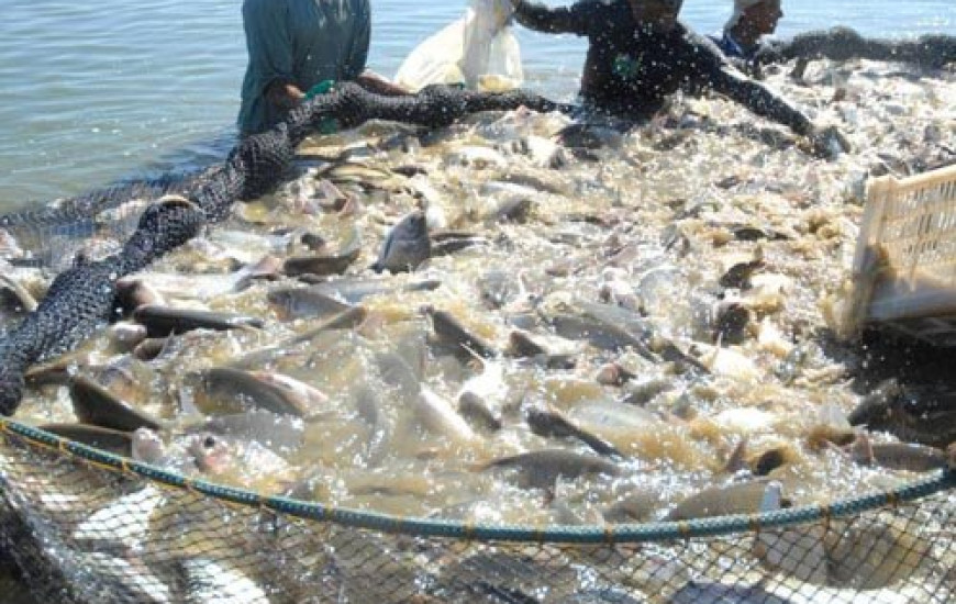 Ação pretende estimular aumento do consumo