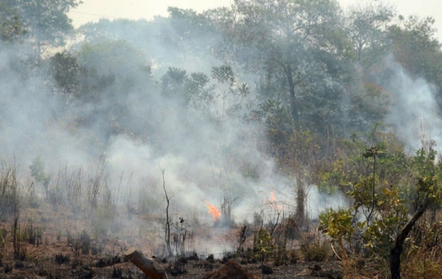 Força tarefa já esteve em Novo Acor do e Lagoa da Confusão