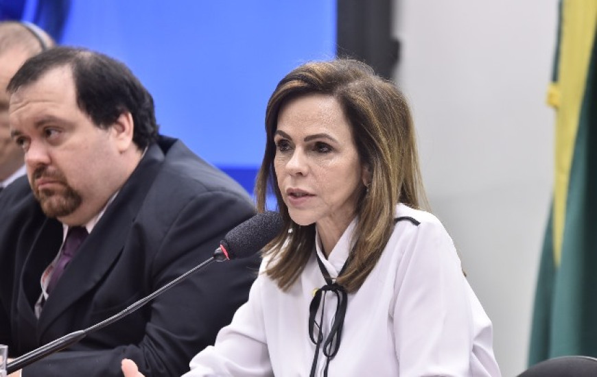 Deputada federal Professora Dorinha